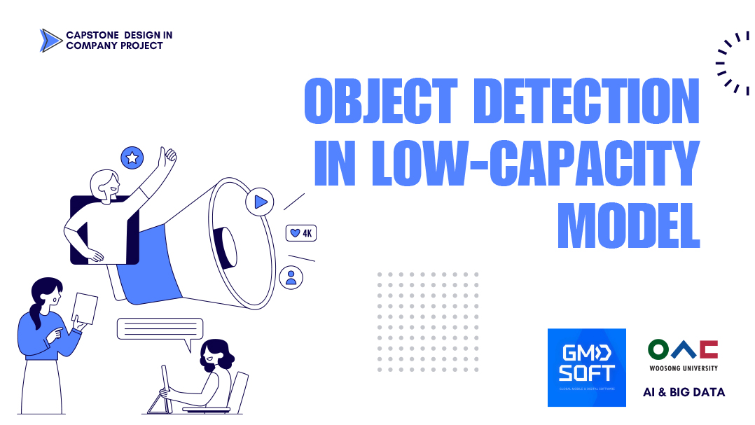 OBJECT DETECTION IN LOW-CAPACITY MODEL